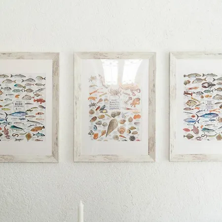 Semesterbostad The Stone House Zaton (Sibenik-Knin)