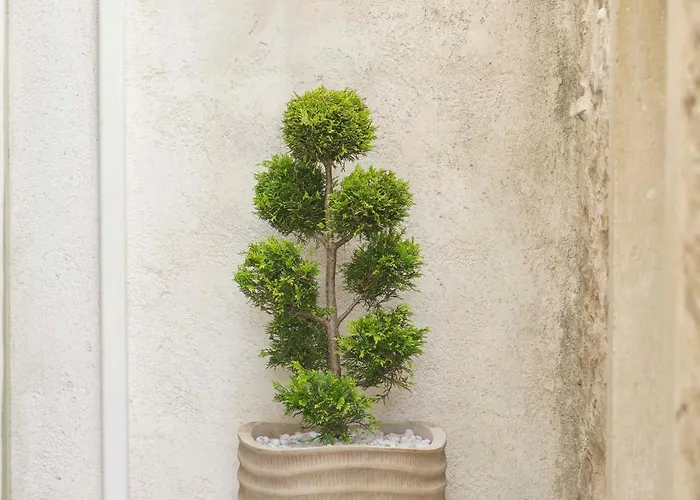 Hébergement de vacances The Stone House